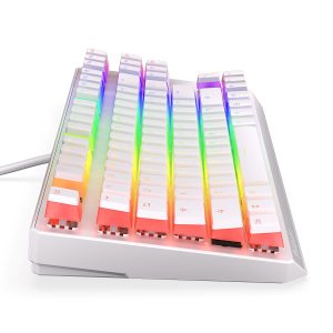 Näppäimistö GAM. ENDORFY THOCK TKL OWH P KAILH BL RG Valkoinen